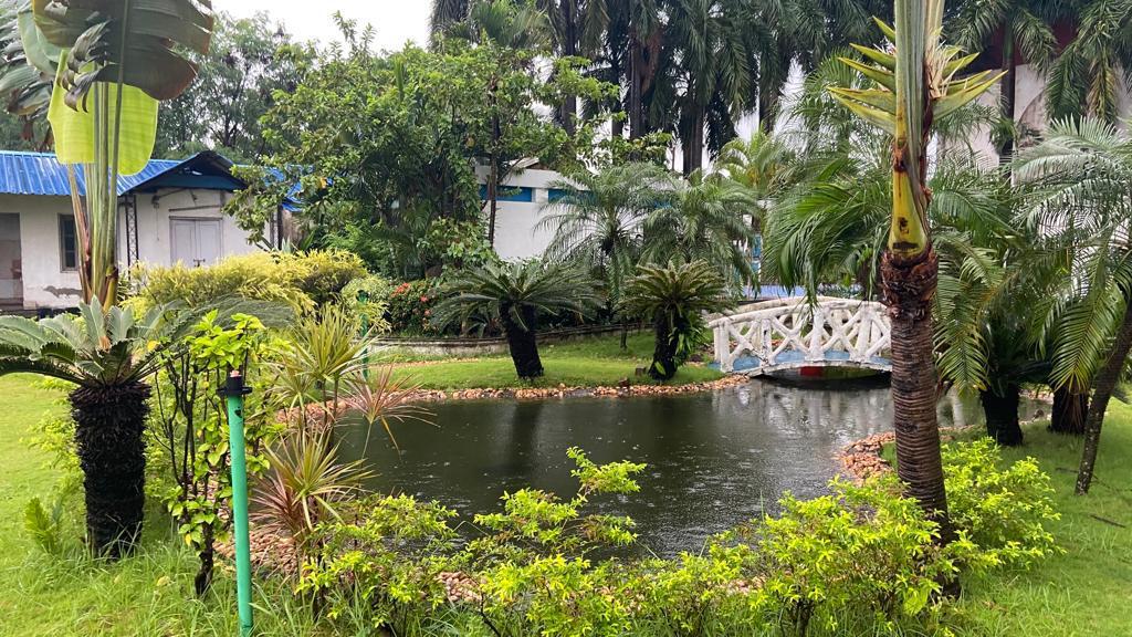 Real Estate Consulting